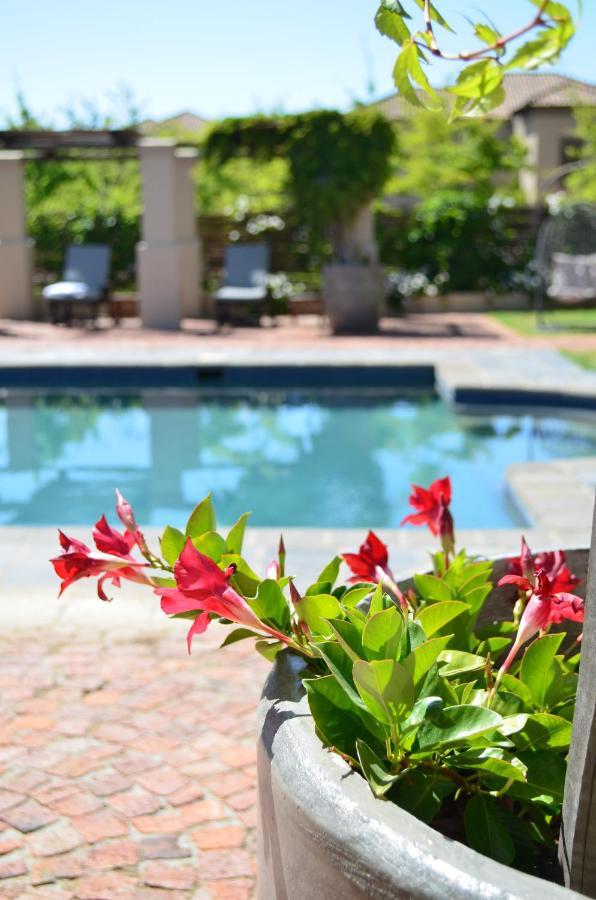 La Bella Vita Studios Paarl Eksteriør billede
